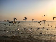 -老虎石海上公园