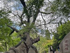 -青岛崂山太清宫