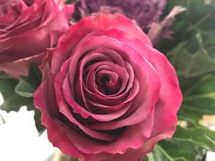 -美联英语(绿宝中心)