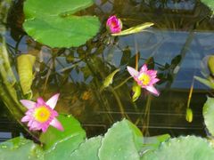 -国家植物园南园