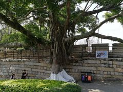 -胡里山炮台