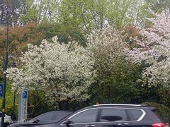 -凤城河风景区