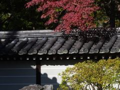 -西芳寺(苔寺)