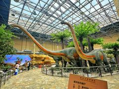 -国家自然博物馆