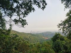-东莞市大岭山森林公园