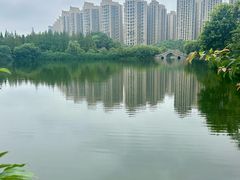 -成都南湖公园