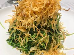 巧拌豆苗-四季民福烤鸭店(王府井灯市口店)