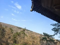 -灵谷景区