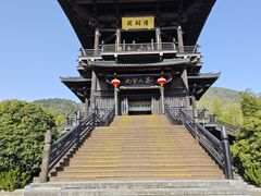 -大唐贡茶院