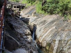 -广州白江湖森林公园