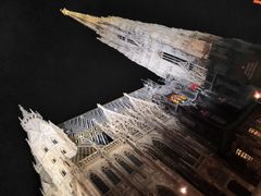 -斯蒂芬主教座堂(Stephansdom)