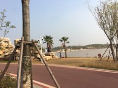 -九龙湖公园