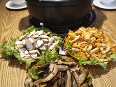 野生菌火锅-菌海森林野生菌火锅(摩根道店)