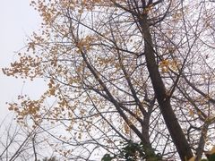 -苏州河梦清园环保主题公园