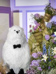 -武汉富力威斯汀酒店·宴会厅