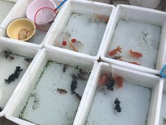 -李村大集