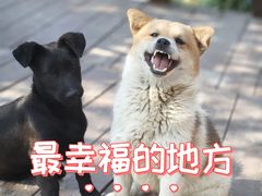 -厦门理工学院(集美校区)