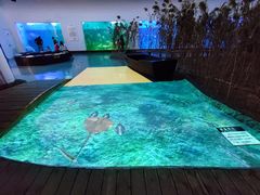 -上海长江河口科技馆