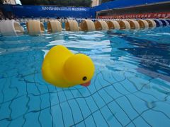 -南山文体中心-游泳馆