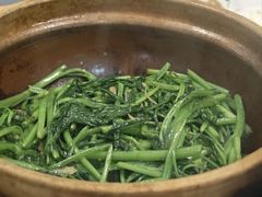 -熠盛粤味·顺德桑拿鸡(永康路店)