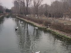 -长白岛森林公园