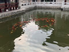 -百花洲