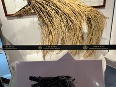 -上海体育博物馆