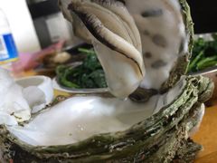 -蚝专家(北滘店)