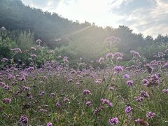 -云峰山自然风景区