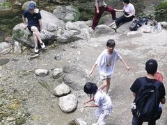 -牛背梁国家森林公园