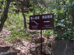 -伏羲山旅游区