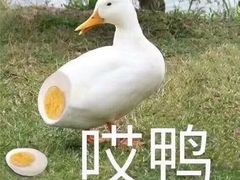 -麦当劳(望京国际商业中心店)