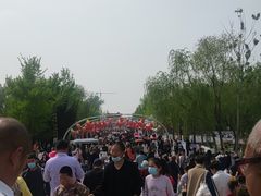 -曹州牡丹园