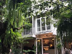 -Fern Forest Cafe