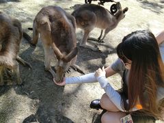 -可伦宾野生动物保护区