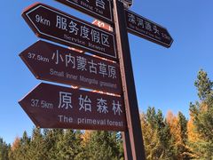 -乌兰布统草原