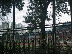-天津市第二中学