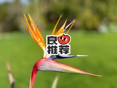 -墨尔本皇家植物园