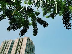 -重庆平顶山公园
