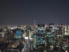 -六本木新城展望台(东京城市景观)