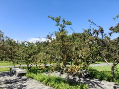 -永定河休闲森林公园