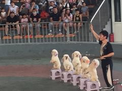 -石家庄市动物园