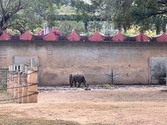 -南宁市动物园