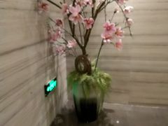 -东方棕泉·洗浴·按摩·美食国际水疗会所(福田店)