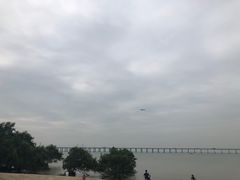 -宝安西湾红树林湿地公园