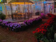 -蘑统田下·野生菌火锅