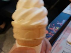-麦当劳(新王府井店)