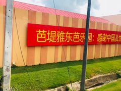 -东芭乐园