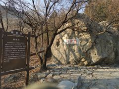 -阳台山自然风景区