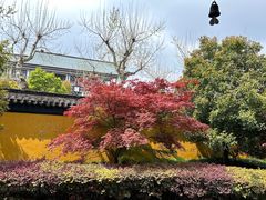 -北寺塔